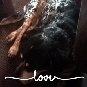 Meet your Posher, Gary